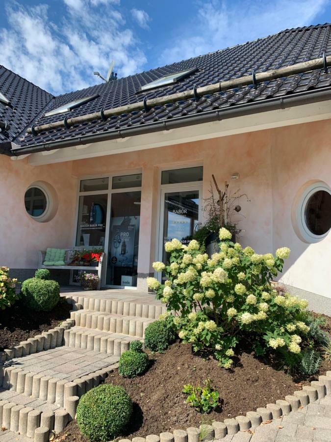 Apartamento Lifestyle Kurort Steinbach-Hallenberg Exterior foto